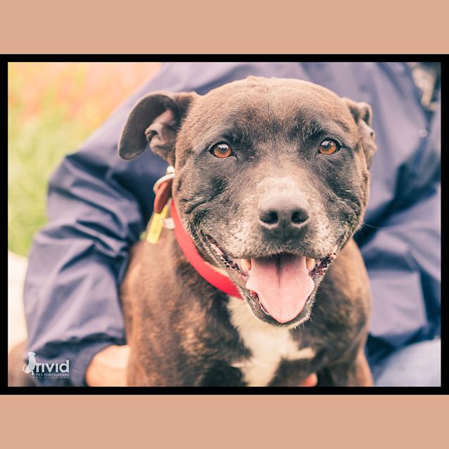 Photo of Jethro