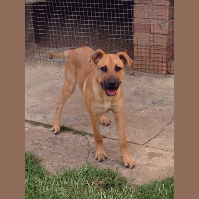 Photo of Rosie **A Beautiful Bubbly Social Butterfly**