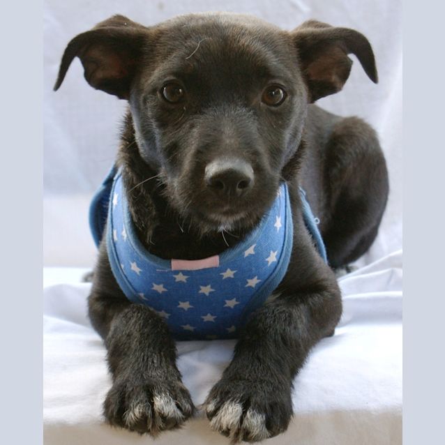 Photo of Ralph