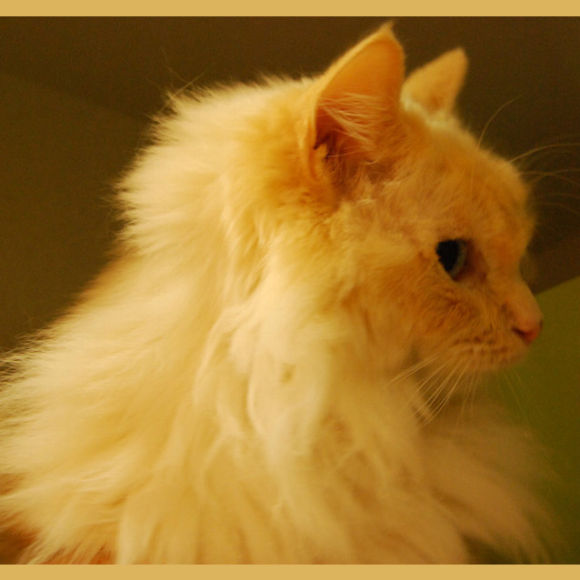 Photo of Benny