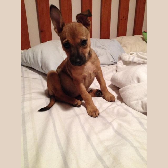 Photo of Jill Ap0043