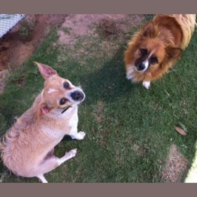 Photo of Sasha And Misty