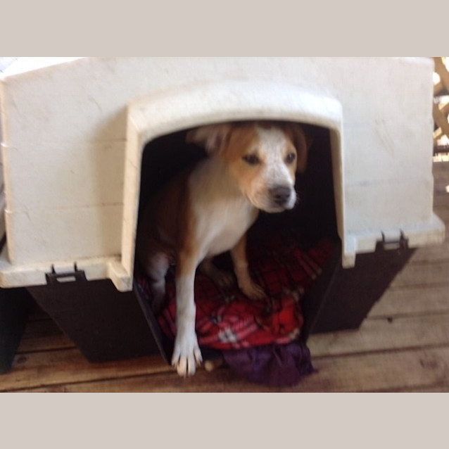 Photo of Bonnie