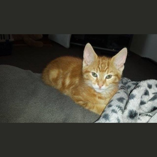 Photo of Kenny