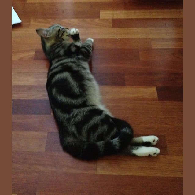 Photo of Abby
