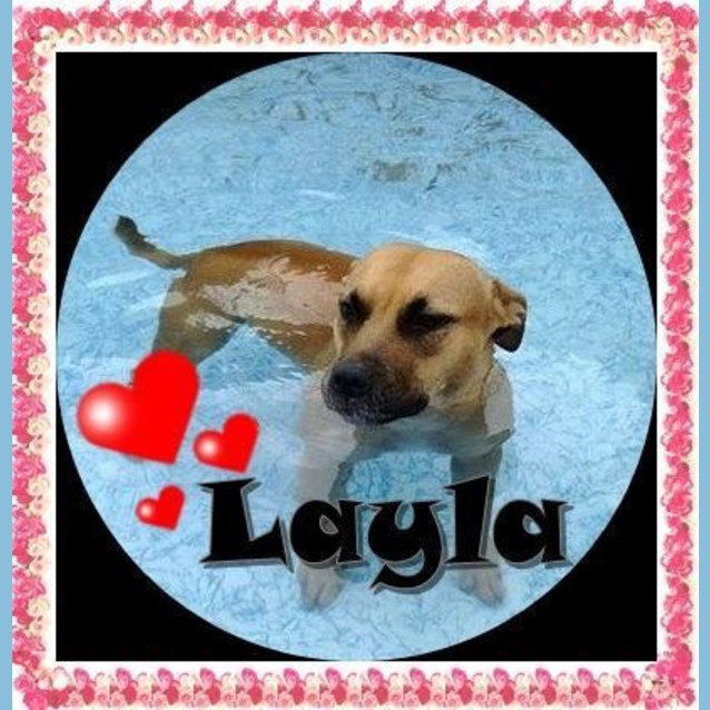 Photo of Layla