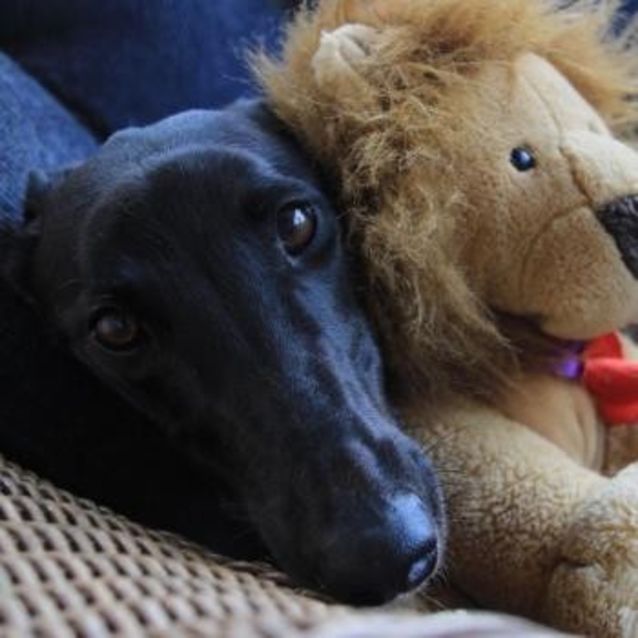 Photo of Lilly