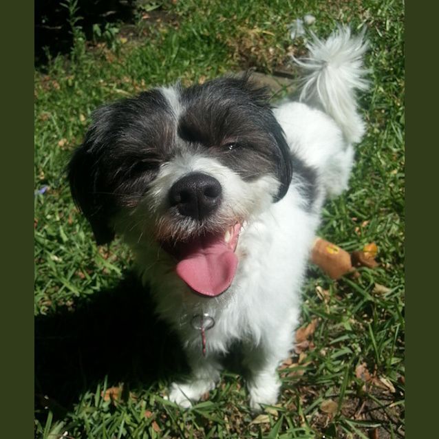 Photo of Bella