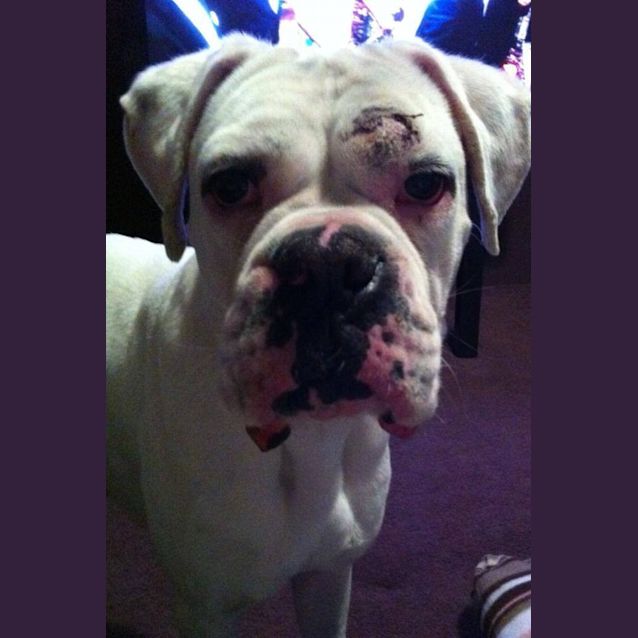 Photo of Molly