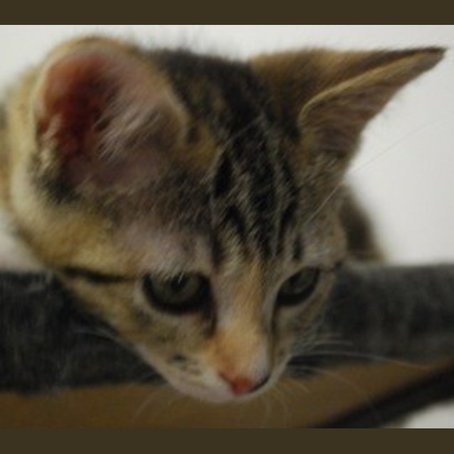 Photo of Minnie