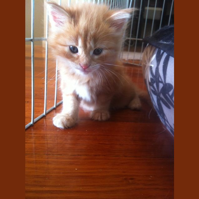 Photo of Leo