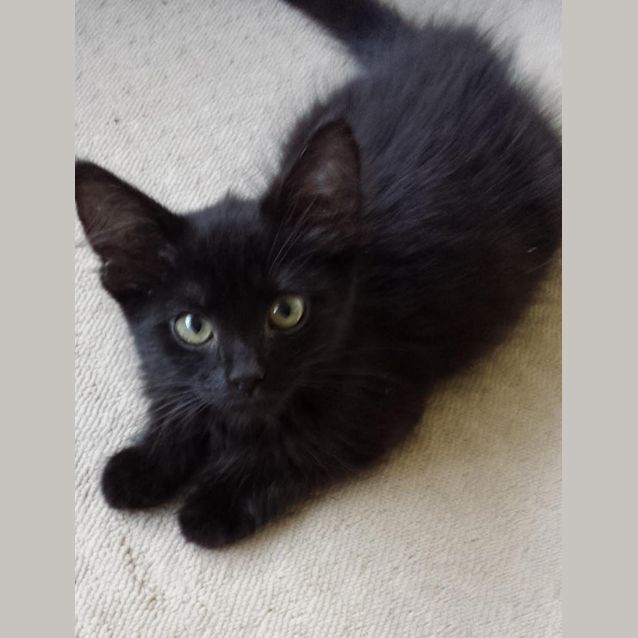 Photo of Molly