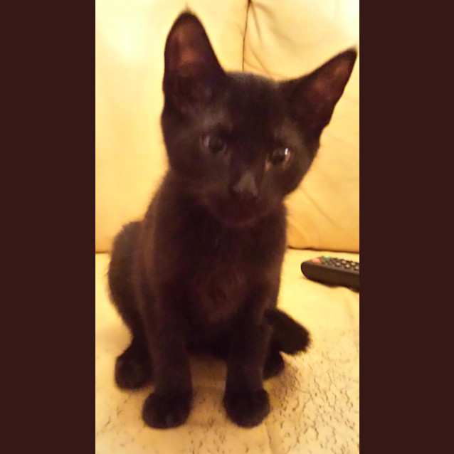 Photo of Tilly