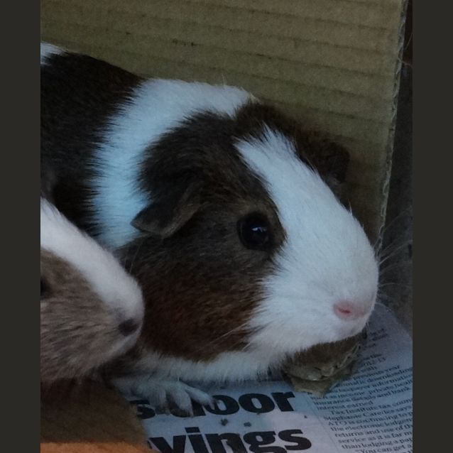 Photo of Milly