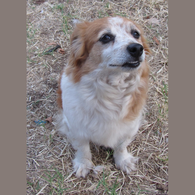 Photo of Heidi