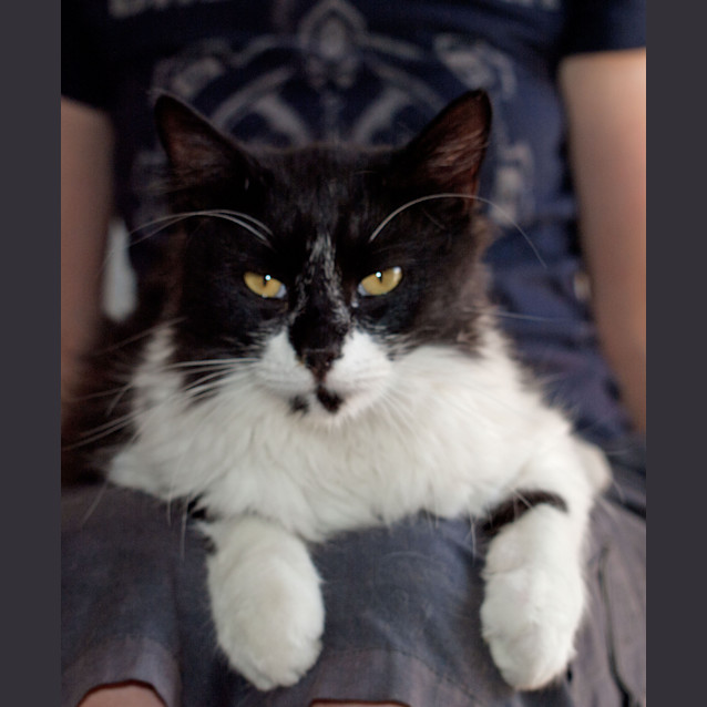 Photo of Paton