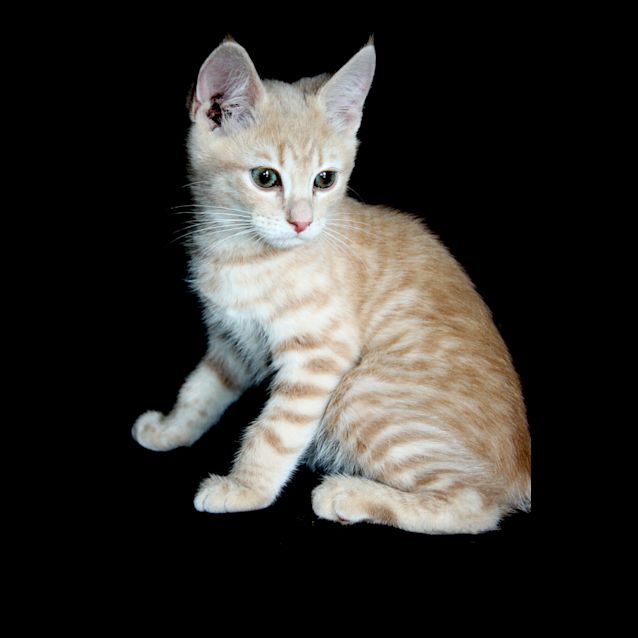 Photo of Champers