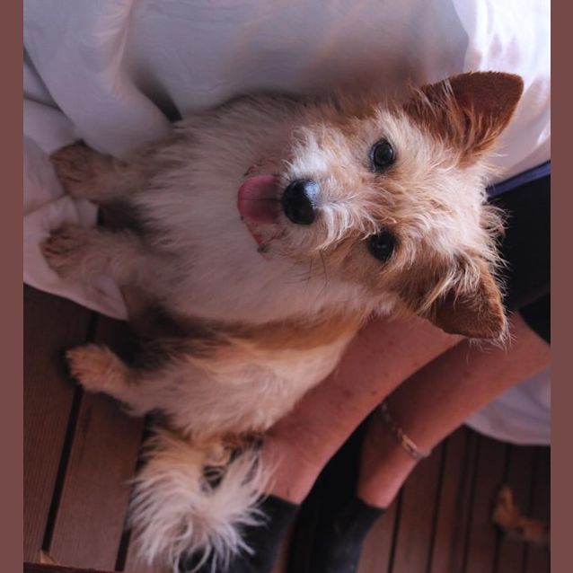 Photo of Tim Tim (D2570)