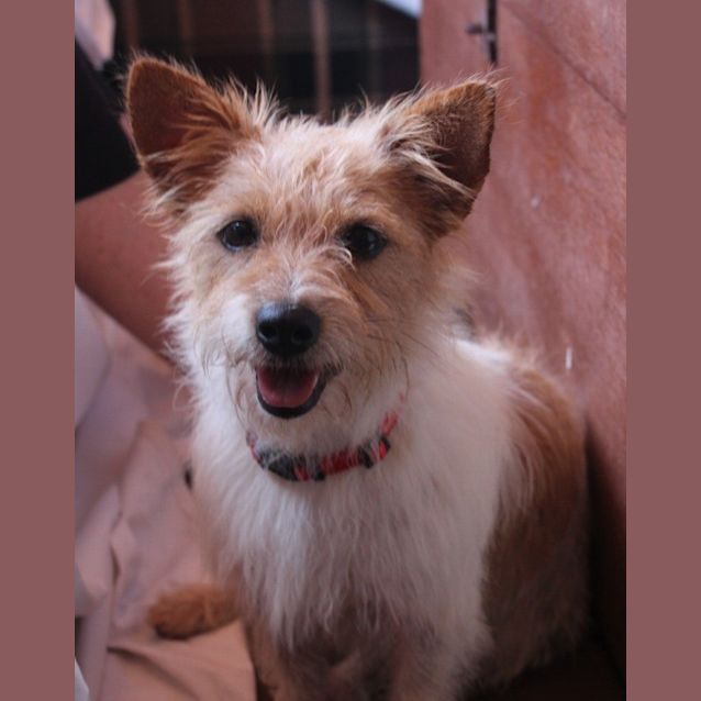 Photo of Tim Tim (D2570)