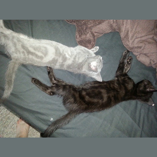 Photo of Mystery