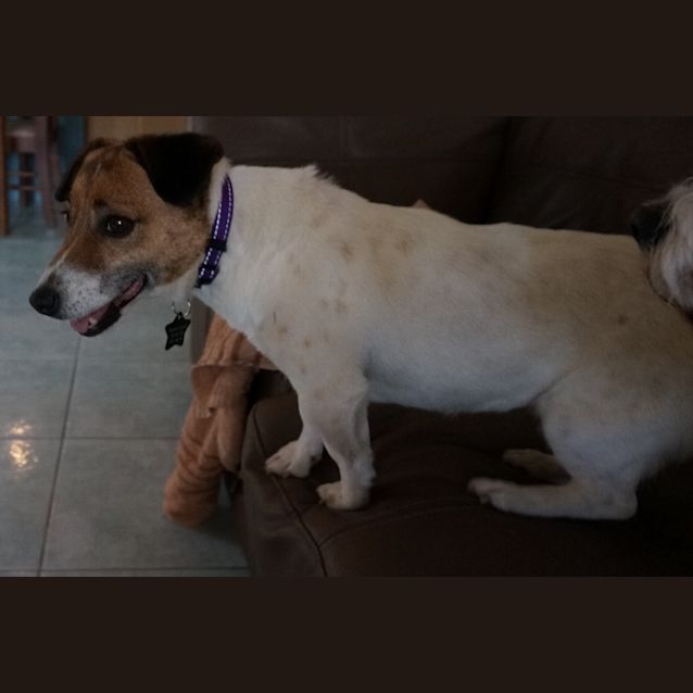 Photo of Tasha