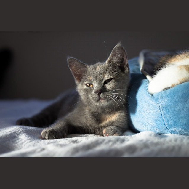 Photo of Tilly