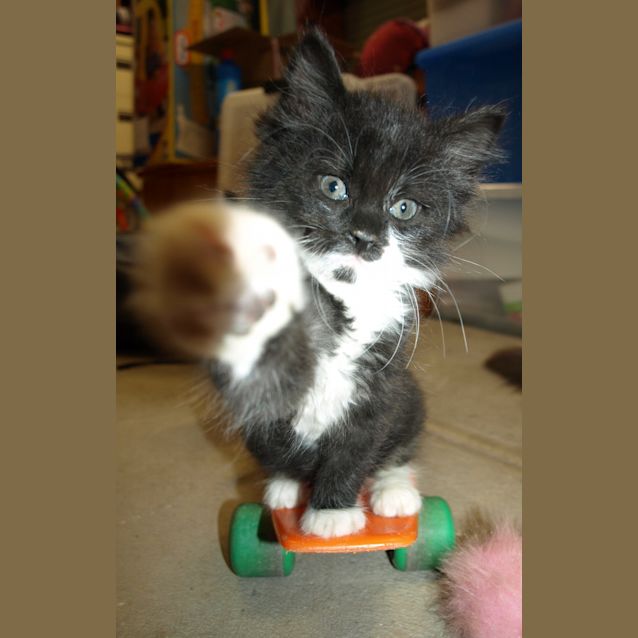 Photo of Oliver