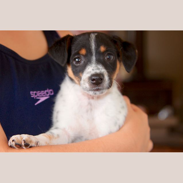 Photo of Nixie