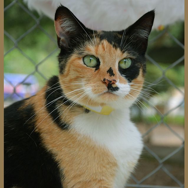Photo of Molly