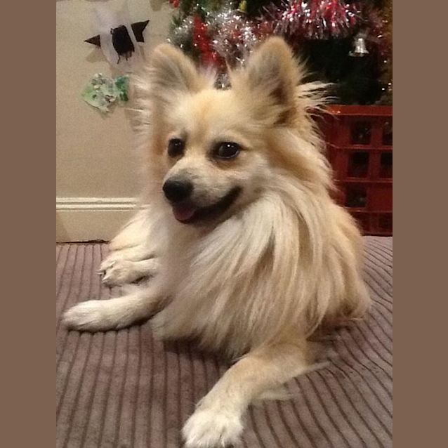 Photo of Klaus