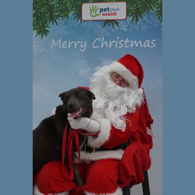 Photo of Maarli (D489)