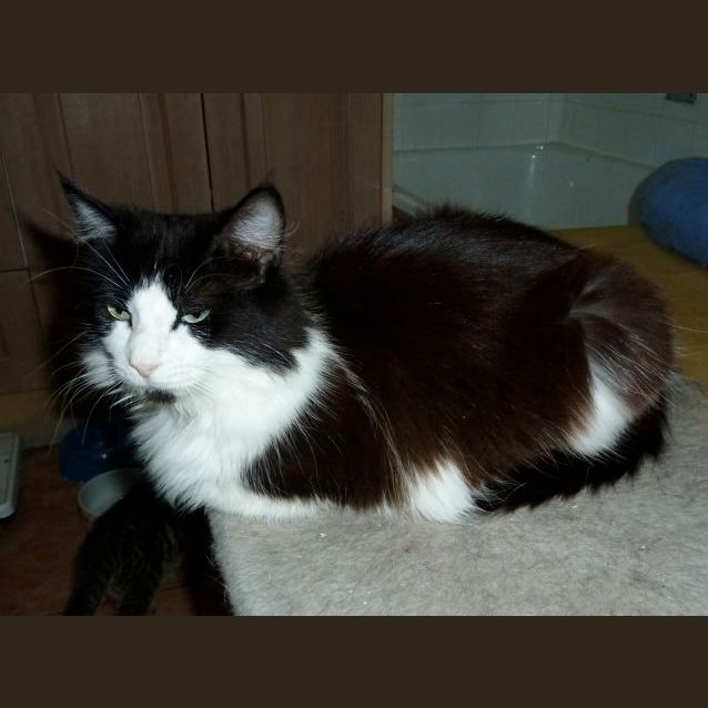 Photo of Maggie