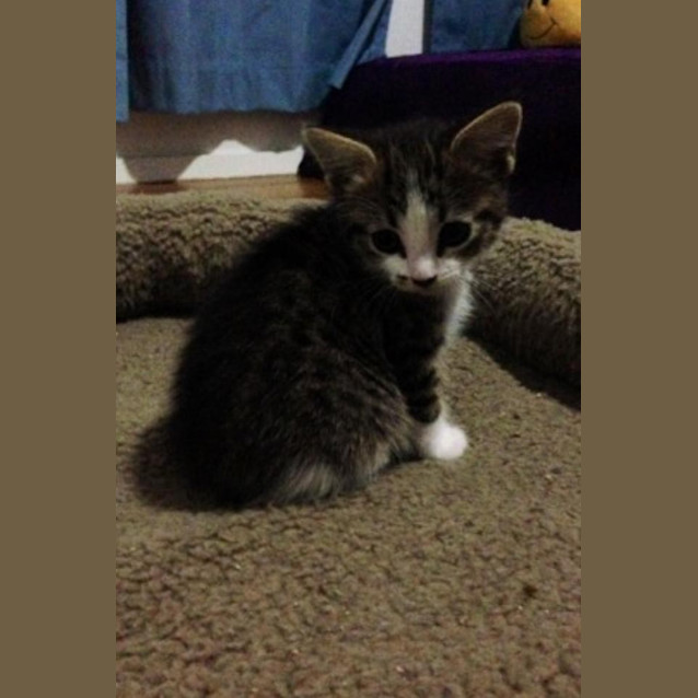 Photo of Micro