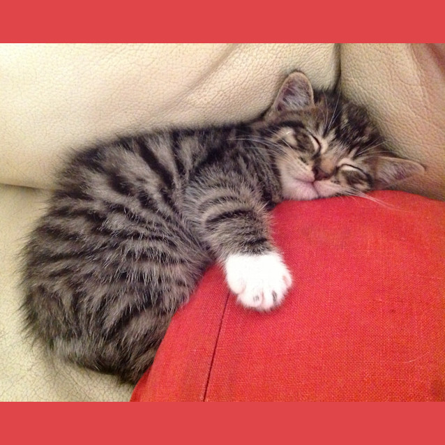 Photo of Baby