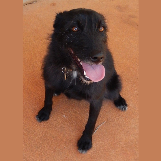 Photo of Lucy (D2580) 