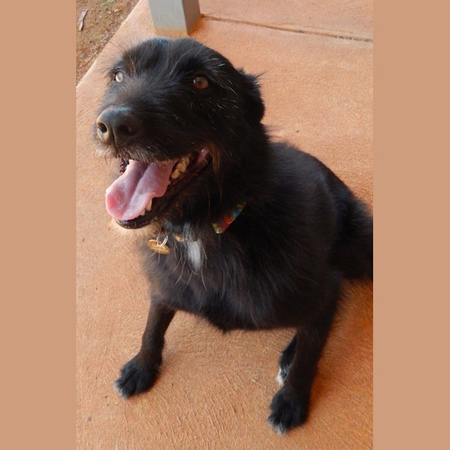 Photo of Lucy (D2580) 