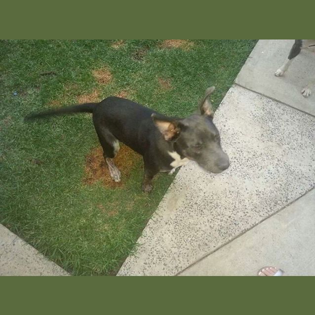 Photo of Neddy Noodle!!!