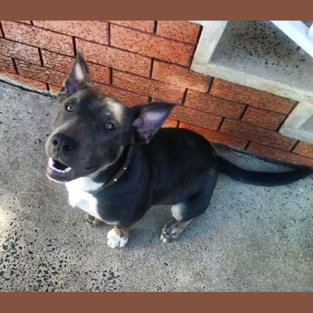 Photo of Neddy Noodle!!!