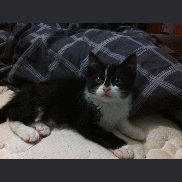 Photo of Maggie