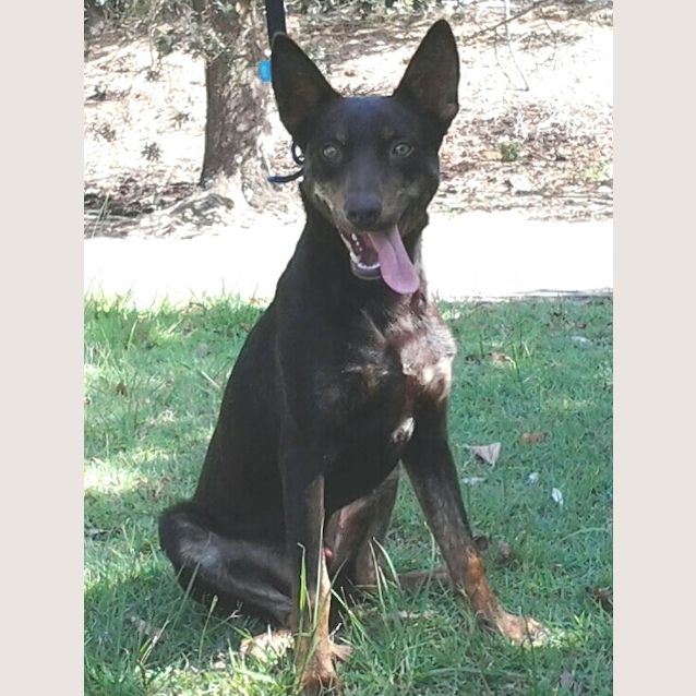 Photo of Rocky 006 5991