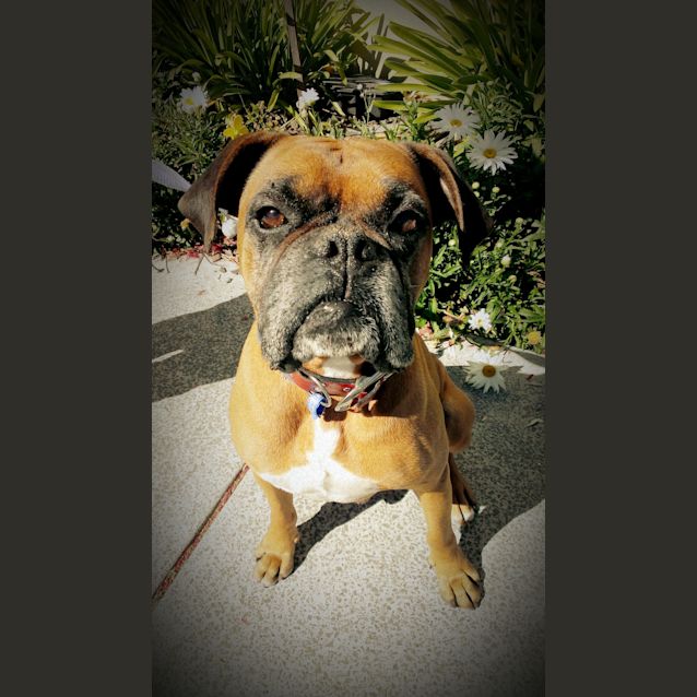 Photo of Aj