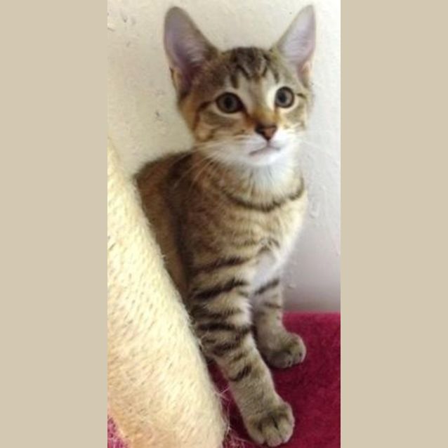 Photo of Zeby