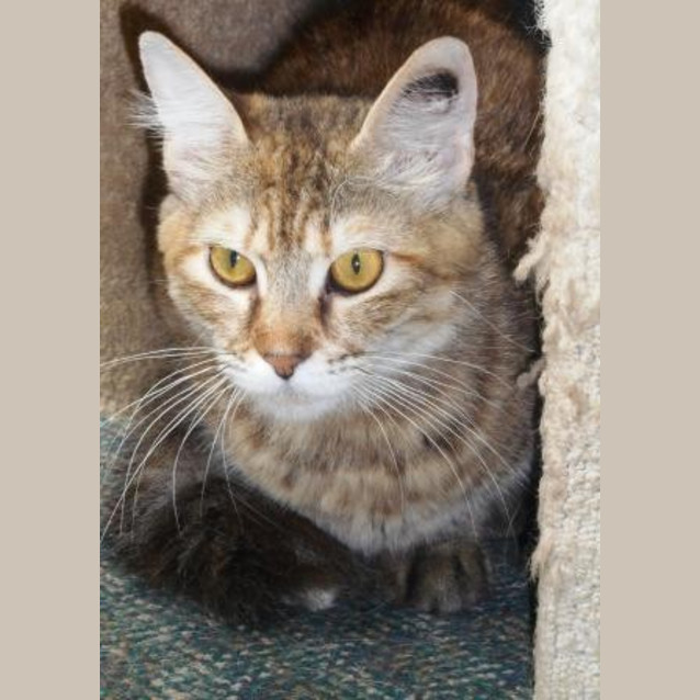 Photo of Missy