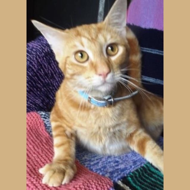 Photo of Jerry