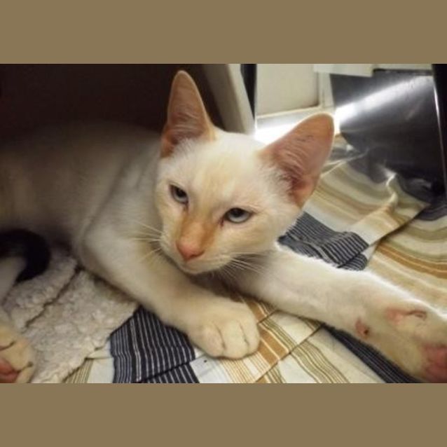 Photo of Berry