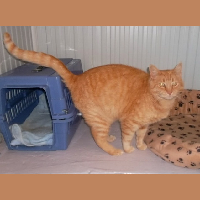 Photo of Jemima