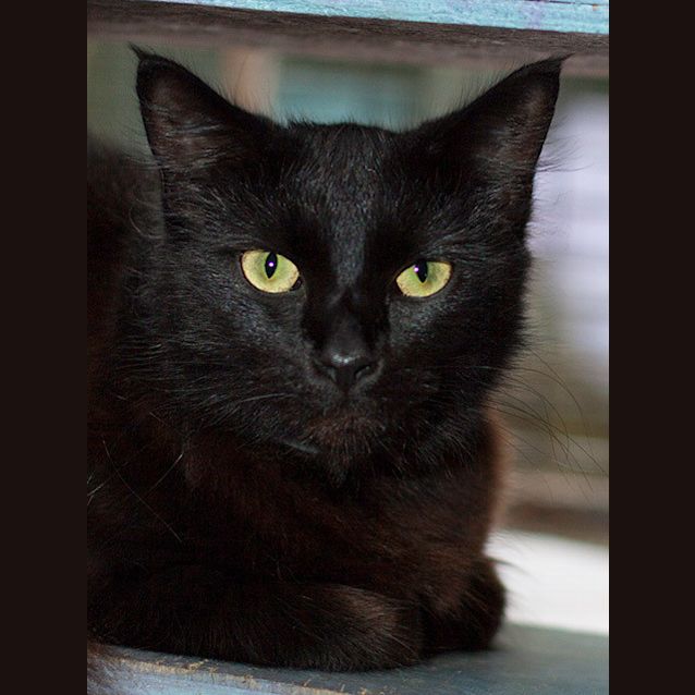 Photo of Princess Precious (Princess)