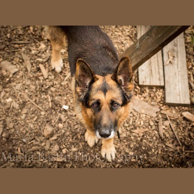 Photo of Buddy