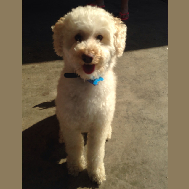 Photo of Sandy