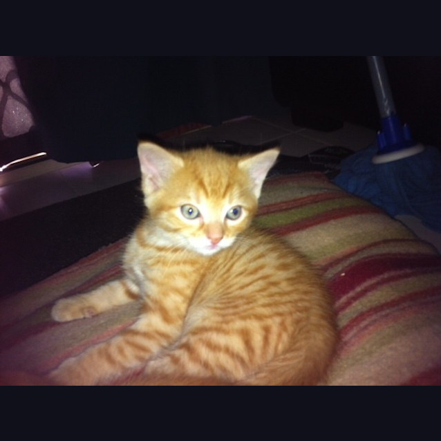 Photo of Casper 